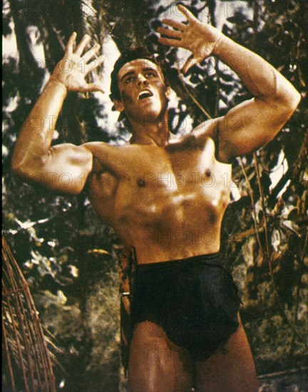 Tarzan