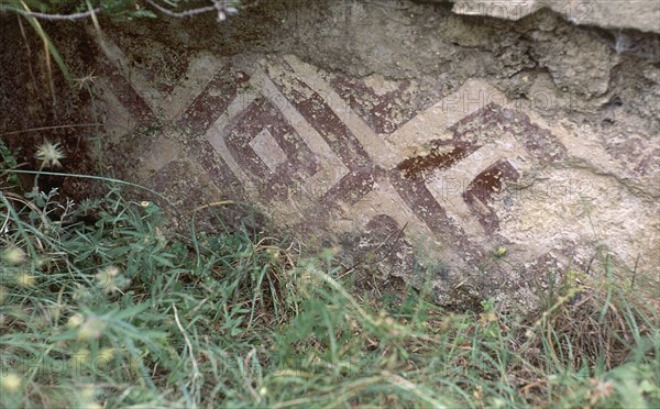 FRESCO - DETALLE
PROVINCIA, MEDINA AZAHARA
CORDOBA
