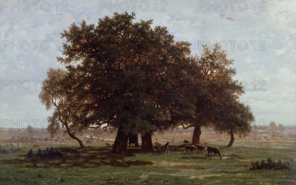 Rousseau, Les chênes d'Apremont