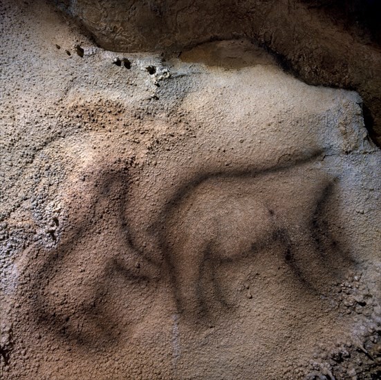 INTERIOR-PINTURAS RUPESTRES-OSOS - PALEOLITICO SUPERIOR
VIZCAYA, CUEVA DE EKAIN
VIZCAYA