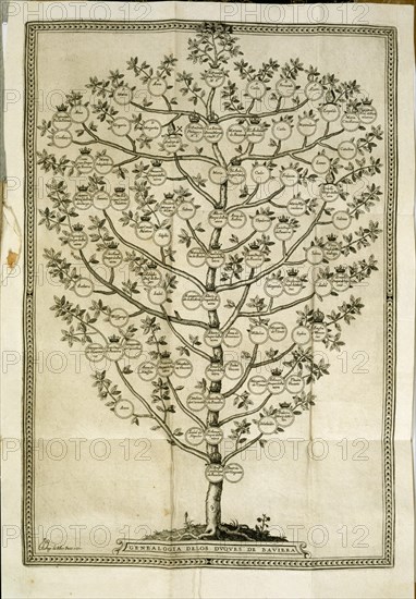 Family tree of the dukes of Bavaria