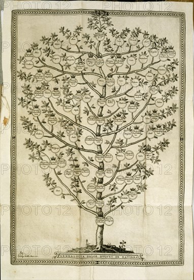 Arbre généalogique des ducs de Bavière