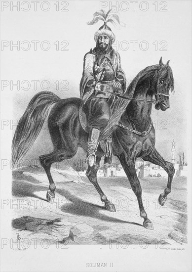 SERRA J
HISTORIA ESPAÑA-SOLIMAN I EL MAGNIFICO-SULTAN TURCO(TAMBIEN CONOCIDO COMO SOLIMAN II LEGISLADOR)
MADRID, BIBLIOTECA NACIONAL B ARTES
MADRID
