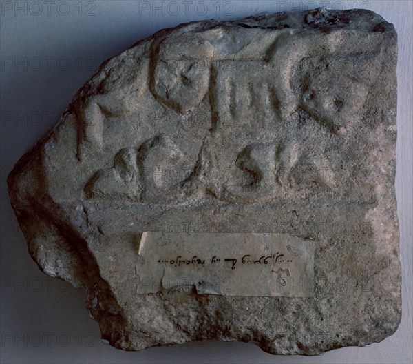 FRAGMENTO ZOCAL MARMOL-A ALMORAVIDE SG XII
GRANADA, MUSEO HISPANO-MUSULMAN
GRANADA
