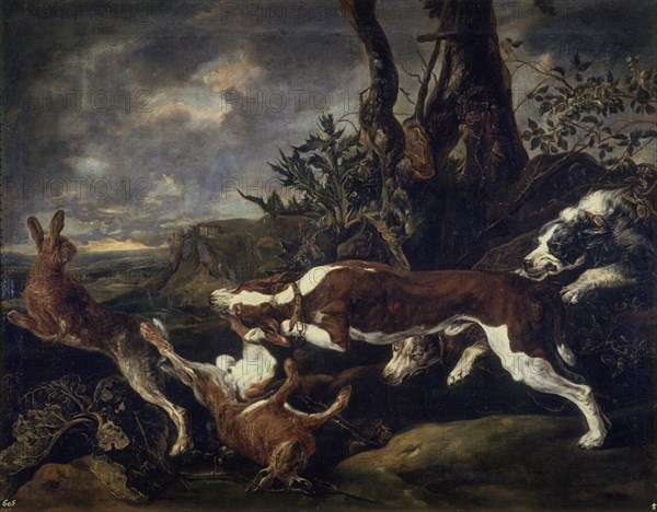 FYT JAN 1611/61
LIEBRES PERSEGUIDAS POR PERROS
MADRID, MUSEO DEL PRADO-PINTURA
MADRID
This image is not downloadable. Contact us for the high res.
