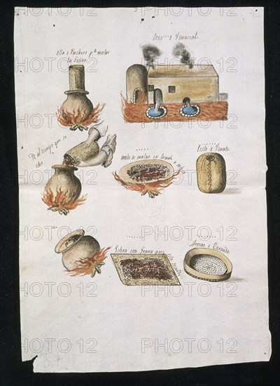 DOCUMENTO MEXICO 515C - ELABORACION DE LA GRANA -
SEVILLA, ARCHIVO INDIAS
SEVILLA