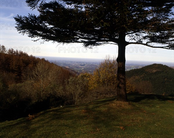 PINO-VISTA DE FRANCIA DESDE EL VALLE DE BAZTAN
BAZTAN VALLE, EXTERIOR
NAVARRA