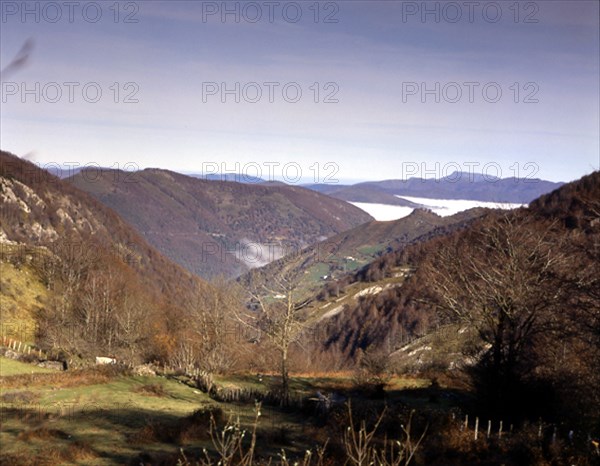PUERTO DE LA VELETA-NIEBLA SOBRE EL VALLE
NAVARRA, EXTERIOR
NAVARRA