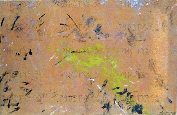 CARDENAS MARTA 1944-
PINTURA-1987 ZARZAS, PRADO Y BOSQUE 75*116 CM OLEO/LIENZO
MADRID, COLECCION PARTICULAR
MADRID

This image is not downloadable. Contact us for the high res.
