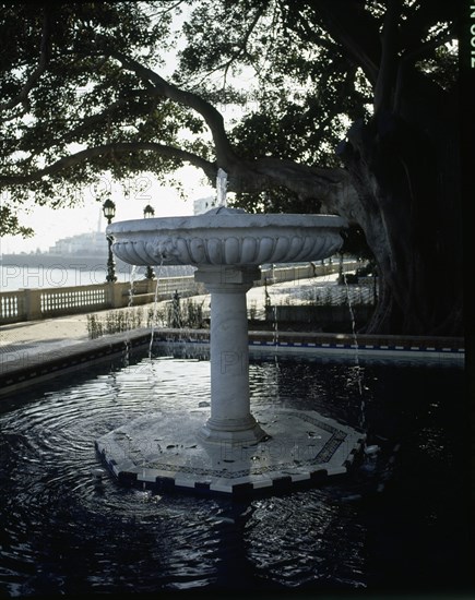 PASEO MARITIMO-FUENTE
CADIZ, EXTERIOR
CADIZ
This image is not downloadable. Contact us for the high res.