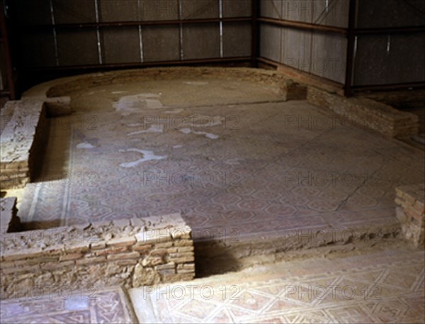 HABITACION 11-EXEDRA SEMICIRCULAR Y MOSAICOS-ROMANO
OLMEDA, VILLA ROMANA
PALENCIA
This image is not downloadable. Contact us for the high res.