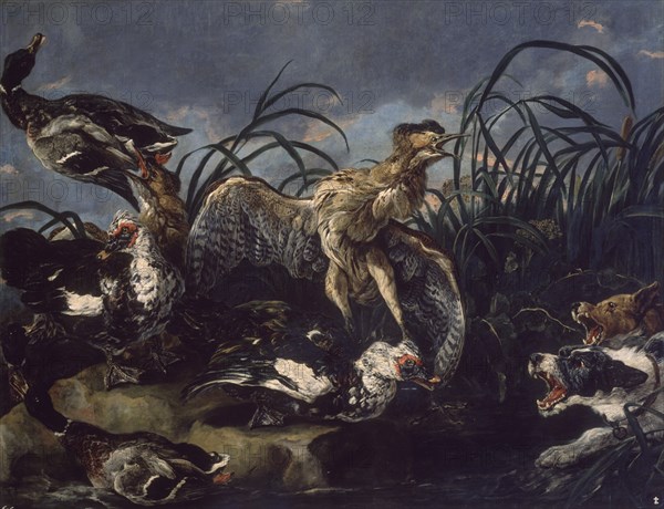 FYT JAN 1611/61
ANADES Y GALLINAS DE AGUA-L.1,27X1,63 CMS-NºPRADO 1531-S XVII ESC FLAMENCA
MADRID, MUSEO DEL PRADO-PINTURA
MADRID
This image is not downloadable. Contact us for the high res.