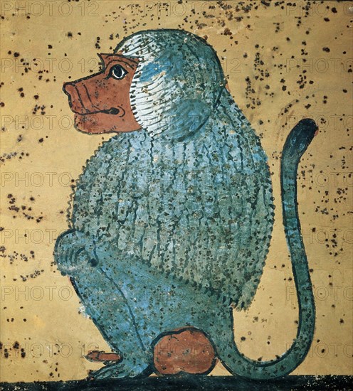 TUMBA DE TUTANKAMON II-PINTURA-MONO
TEBAS, VALLE DE LOS REYES
EGIPTO