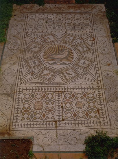 JARDIN-MOSAICO ROMANO DE VENUS-PROCEDE DE CARTAMA
MALAGA, MUSEO BELLAS ARTES
MALAGA
This image is not downloadable. Contact us for the high res.