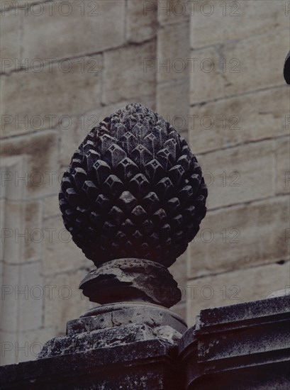 EXTERIOR-REJA DEL ATRIO-REMATE DE COLUMNA EN FORMA DE PIÑA
JAEN, CATEDRAL
JAEN
This image is not downloadable. Contact us for the high res.
