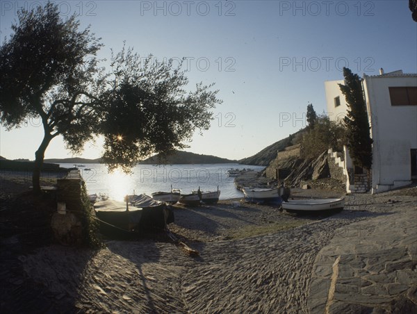 CASA DALI-VISTA DE LA BAHIA Y LAS BARCAS EN LA PLAYA
PORT LLIGAT, EXTERIOR
GERONA

This image is not downloadable. Contact us for the high res.