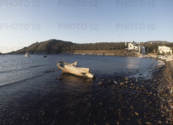 BAHIA-TRONCO DE ARBOL EN LA ORILLA
PORT LLIGAT, EXTERIOR
GERONA

This image is not downloadable. Contact us for the high res.