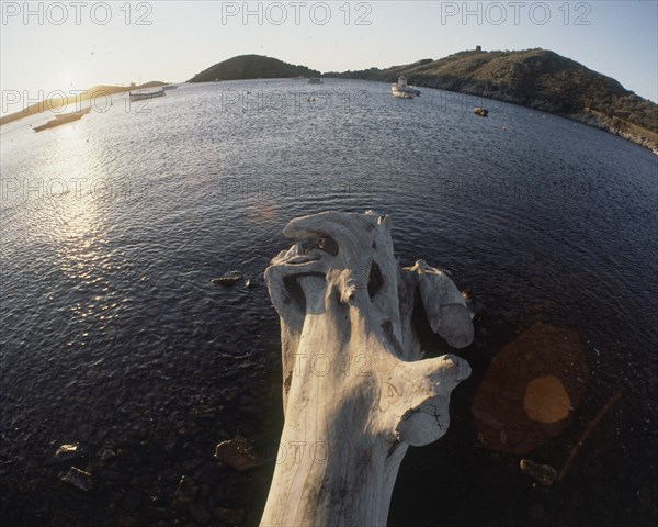 TRONCO DE ARBOL Y LA BAHIA CON OJO DE PEZ
PORT LLIGAT, EXTERIOR
GERONA