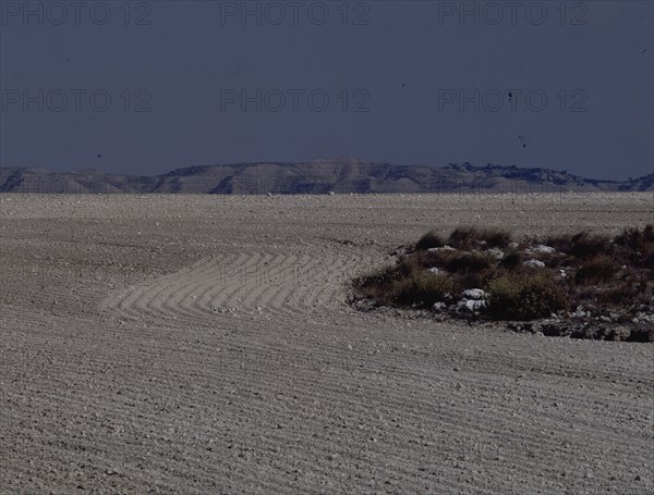 REGION DE LOS MONEGROS-CAMPOS LABRADOS
PROVINCIA, EXTERIOR
ZARAGOZA

This image is not downloadable. Contact us for the high res.