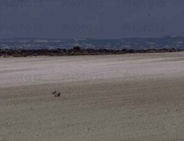 REGION DE LOS MONEGROS-CAMPOS LABRADOS PARA SEMBRAR
PROVINCIA, EXTERIOR
ZARAGOZA