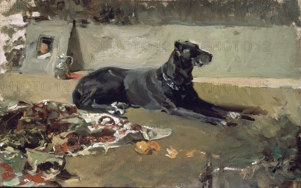 Sorolla, Le chien allongé