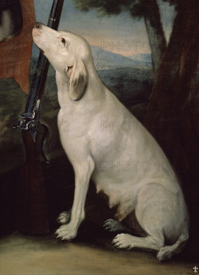 LIANI F
CARLOS III VESTIDO DE CAZADOR-DET DEL PERRO PERDIGUERO
RIOFRIO, PALACIO REAL
SEGOVIA