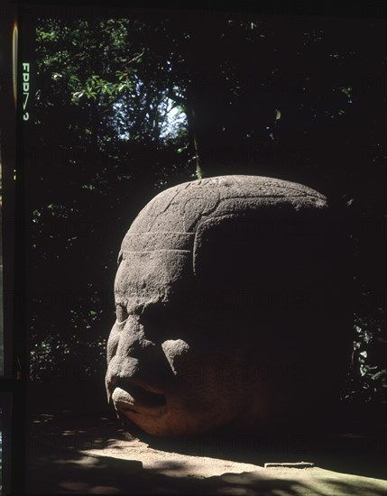 CABEZA COLOSAL OLMECA ESCULPIDA EN PIEDRA
VILLAHERMOS, MUSEO DE LA VENTA
MEXICO