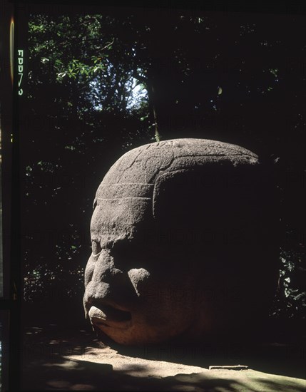 CABEZA COLOSAL OLMECA ESCULPIDA EN PIEDRA
VILLAHERMOS, MUSEO DE LA VENTA
MEXICO