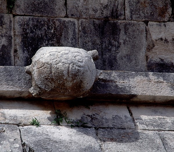 Maison des Tortues