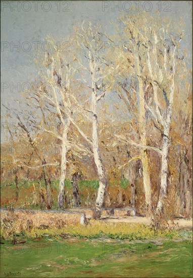 BERUETE Y MORET A 1845/1912
PAISAJE DE INVIERNO-PLANTIO DE INFANTES-NUM CASON 4057
MADRID, CASON RETIRO
MADRID