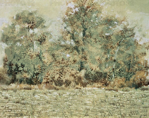 BEULAS JOSE
EL SOTO
MADRID, BANCO DE ESPAÑA-COLECCIÓN ARTE
MADRID