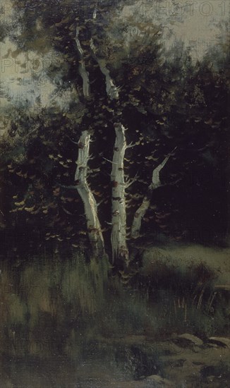 LUPIAÑEZ CARRASCO JO
ALAMO
MADRID, BANCO DE ESPAÑA-COLECCIÓN ARTE
MADRID
