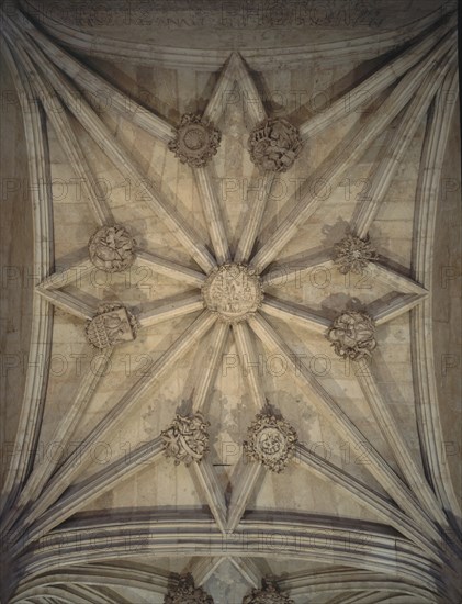 DET DE LA BOVEDA DEL ZAGUAN DE ENTRADA A LA UNIVERSIDAD-
SALAMANCA, UNIVERSIDAD
SALAMANCA