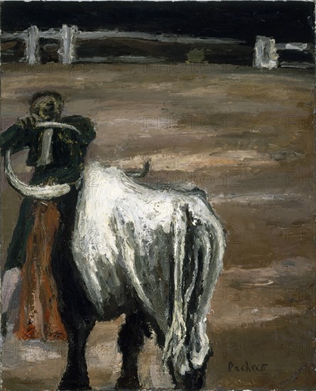 PACHECO JOAQUIN
(TORERO DA ESTOQUE A TORO)
MADRID, COLECCION SRES PACHECO
MADRID