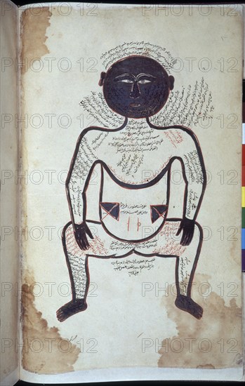 TASRIH-I MANSURI
MANUSCRITO ARABE 2296 - DIAGRAMA ANATOMICO DE HOMBRE NEGRO F11- S XIII
LONDRES, BRITISH MUSEUM LIBRARY
INGLATERRA