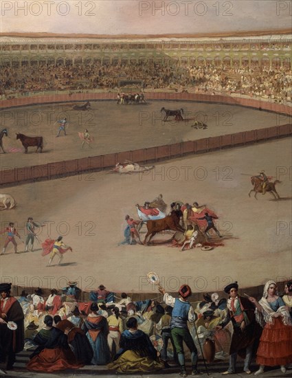 Lucas Velázquez, Corrida in the arena