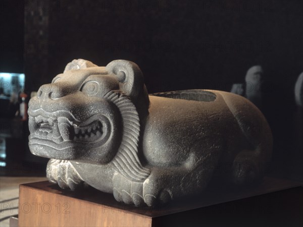 work of art preserved at the museum of anthropology of Mexico