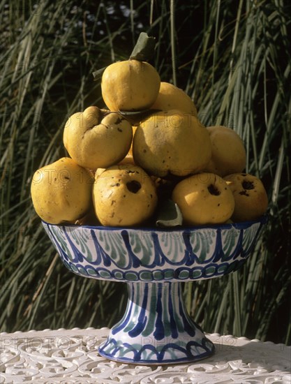 FRUTERO CON MEMBRILLOS-VIDRIADO Y DECORADO EN AZUL Y VERDE-ARTE POPULAR S XX
NIJAR, COLECCION PARTICULAR
ALMERIA

This image is not downloadable. Contact us for the high res.