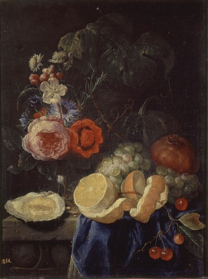 Van Son, Nature morte