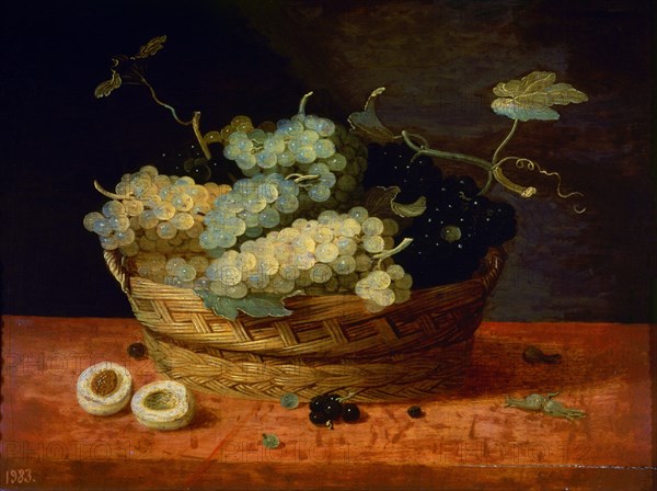 Van Son, Basket With Grapes