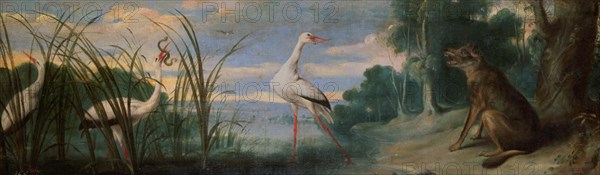 De Vos, Oiseaux aquatiques et un renard