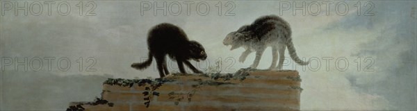 Goya, Combat de chats