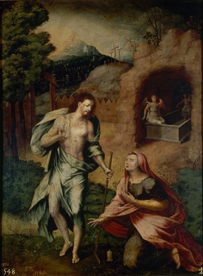 Del Vaga, Noli me tangere