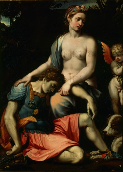 Anonyme, Vénus et Adonis