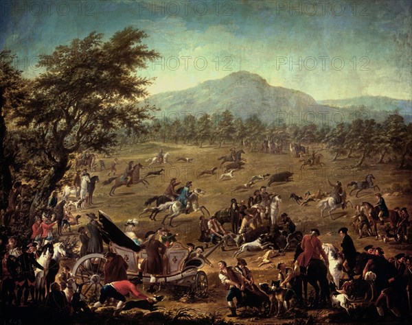 Celebrano, Chasse à courre