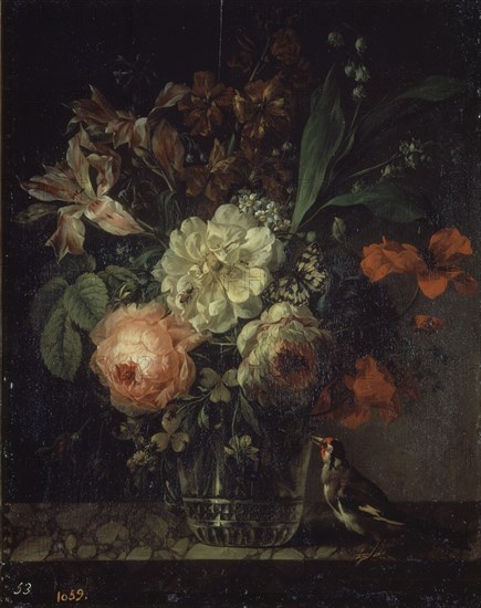 Malaine, Fleurs