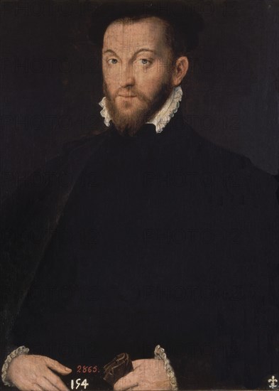 Corneille de Lyon, Chevalier