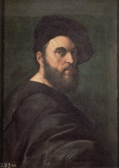 Raphael, reproduction: Andrea Navagero