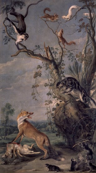 Snyders, The Fox and the Cat