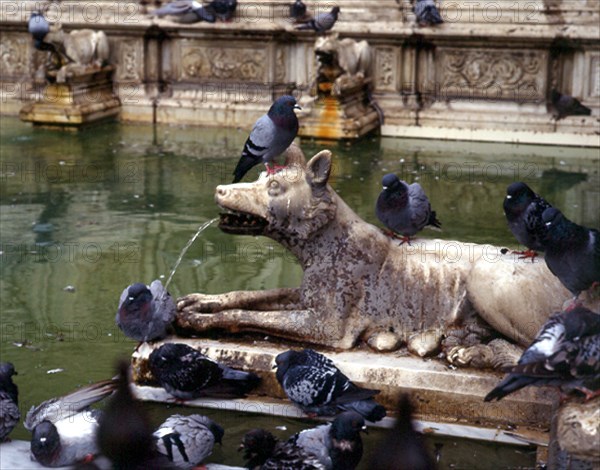 FUENTE GAIA-DET ESCULTURA DE LOBA RODEADA DE PALOMAS
SIENA, EXTERIOR
ITALIA
This image is not downloadable. Contact us for the high res.